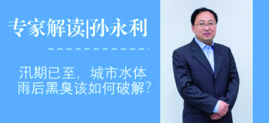 汛期已至，城市水體雨后黑臭問題該如何破解？